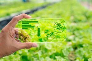 Revolução na Mesa: Como as Novas Tecnologias estão Transformando o Futuro da Alimentação