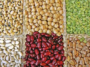 https://atentosnomundo.com.br/alimentacao-sustentavel-como-o-veganismo-esta-transformando-o-futuro-do-planeta/