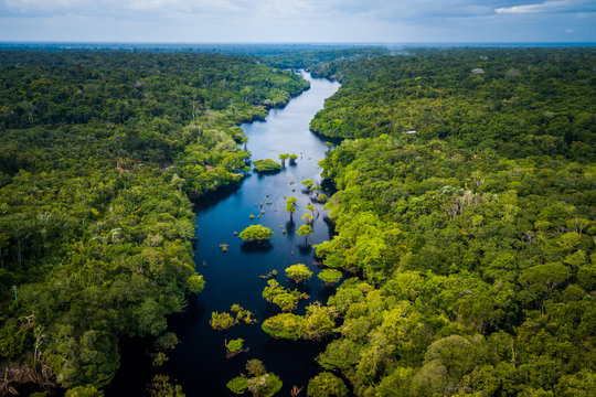 Pressões Internacionais: O Olhar do Mundo Sobre a Amazônia